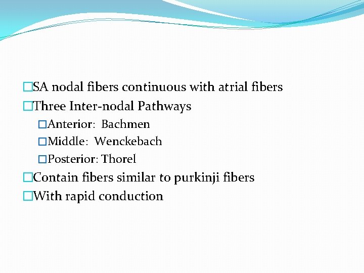 �SA nodal fibers continuous with atrial fibers �Three Inter-nodal Pathways �Anterior: Bachmen �Middle: Wenckebach
