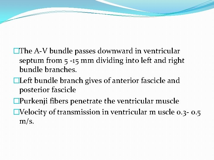 �The A-V bundle passes downward in ventricular septum from 5 -15 mm dividing into