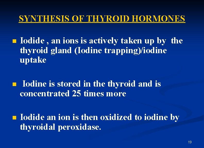 SYNTHESIS OF THYROID HORMONES n Iodide , an ions is actively taken up by