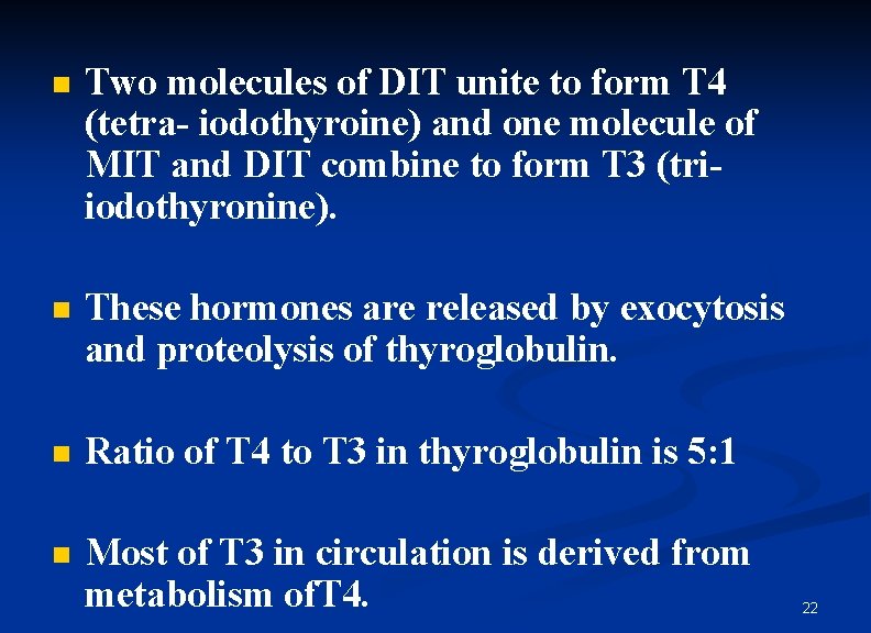 n Two molecules of DIT unite to form T 4 (tetra- iodothyroine) and one