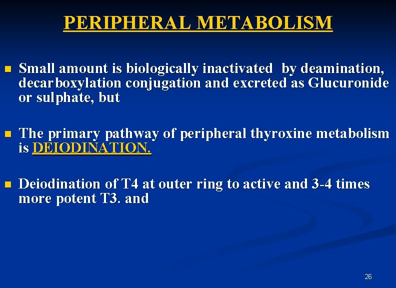 PERIPHERAL METABOLISM n Small amount is biologically inactivated by deamination, decarboxylation conjugation and excreted