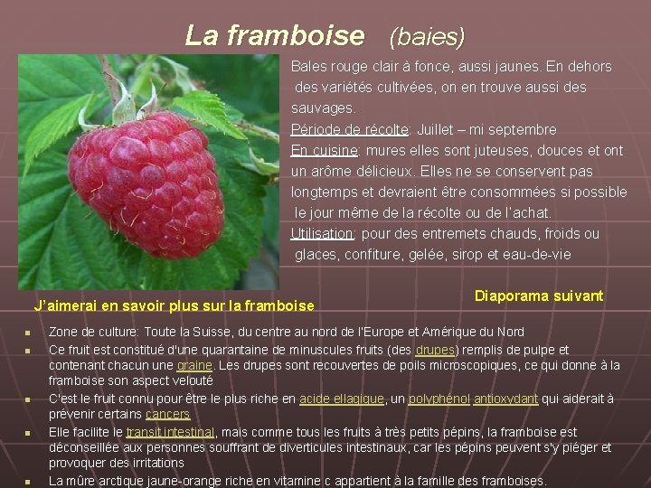 La framboise (baies) Bales rouge clair à fonce, aussi jaunes. En dehors des variétés