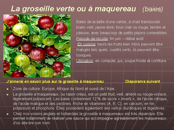 La groseille verte ou à maquereau (baies) Baies de la taille d’une cerise, à