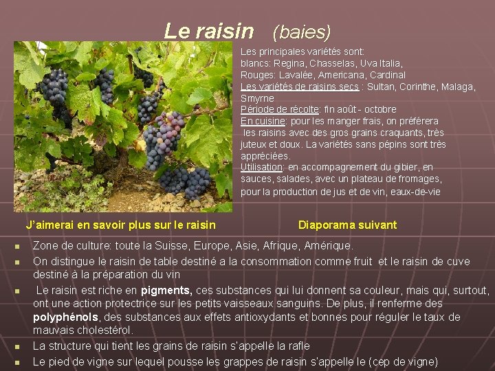 Le raisin (baies) Les principales variétés sont: blancs: Regina, Chasselas, Uva Italia, Rouges: Lavalée,