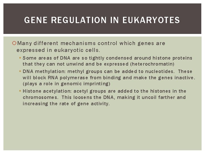 GENE REGULATION IN EUKARYOTES Many different mechanisms control which genes are expressed in eukaryotic