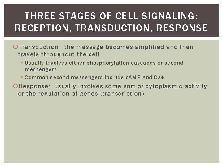 THREE STAGES OF CELL SIGNALING: RECEPTION, TRANSDUCTION, RESPONSE Transduction: the message becomes amplified and
