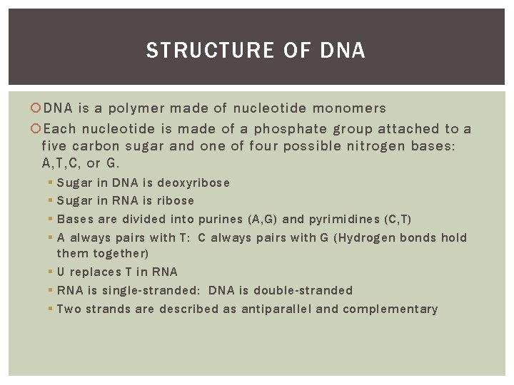 STRUCTURE OF DNA is a polymer made of nucleotide monomers Each nucleotide is made