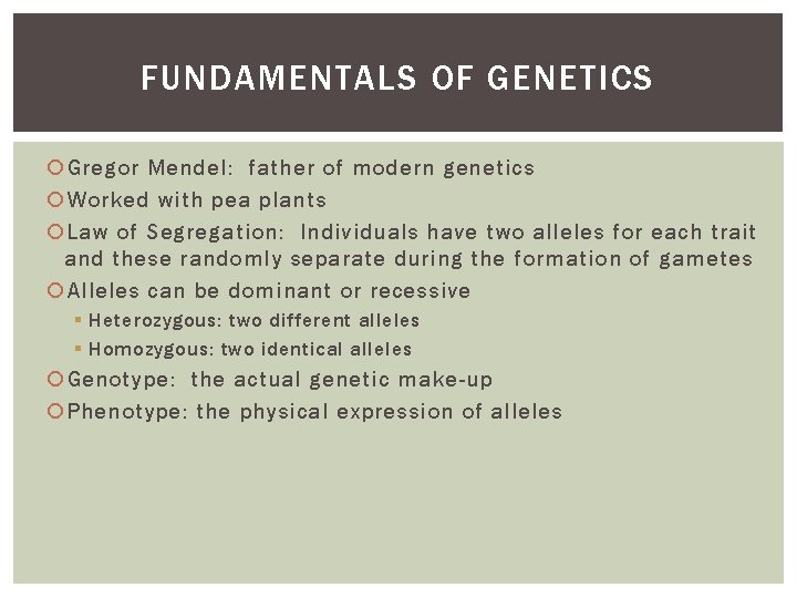 FUNDAMENTALS OF GENETICS Gregor Mendel: father of modern genetics Worked with pea plants Law