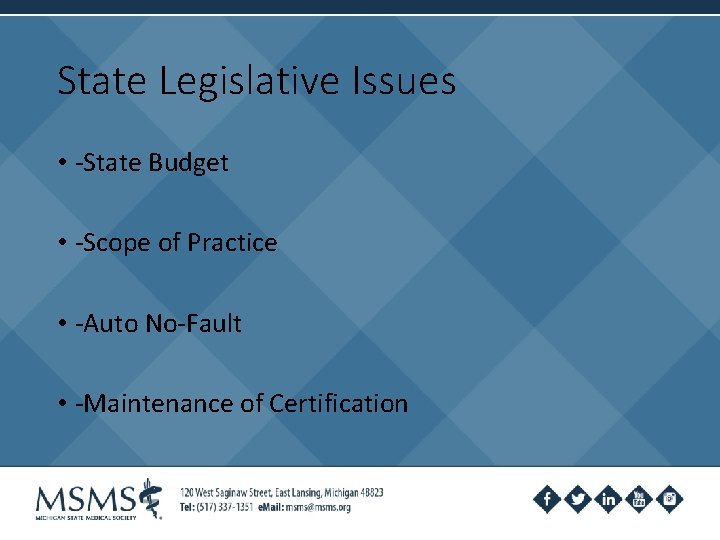 State Legislative Issues • -State Budget • -Scope of Practice • -Auto No-Fault •