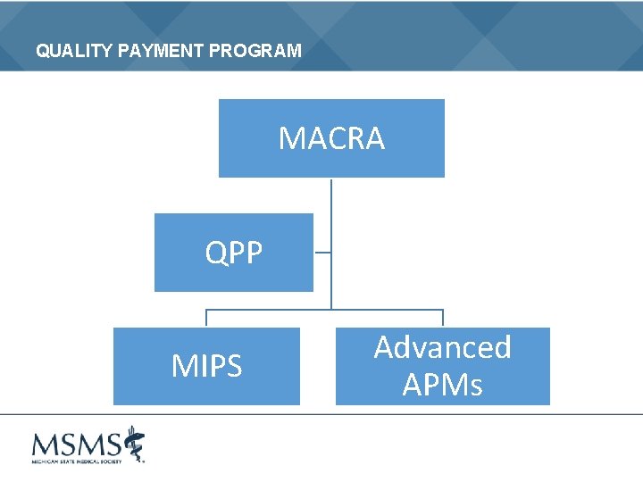 QUALITY PAYMENT PROGRAM MACRA QPP MIPS Advanced APMs 