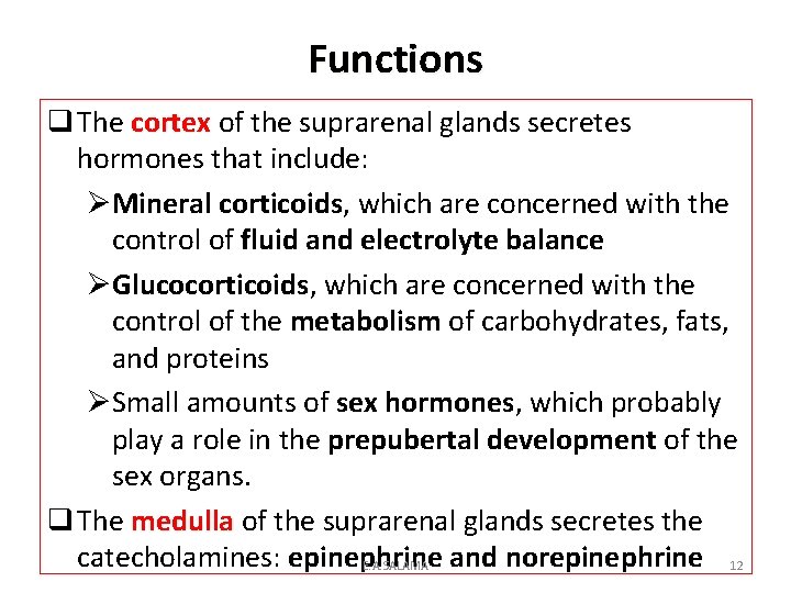 Functions q The cortex of the suprarenal glands secretes hormones that include: ØMineral corticoids,