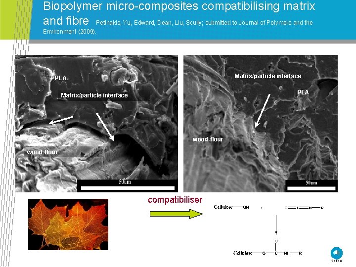 Biopolymer micro-composites compatibilising matrix and fibre Petinakis, Yu, Edward, Dean, Liu, Scully; submitted to