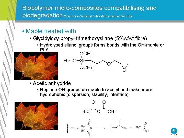 Biopolymer micro-composites compatibilising and biodegradation Way, Dean Wu et al publications planned for 2009