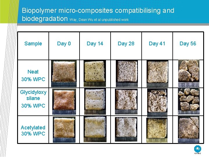 Biopolymer micro-composites compatibilising and biodegradation Way, Dean Wu et al unpublished work Sample Neat