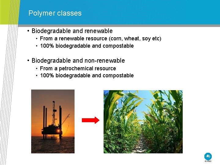 Polymer classes • Biodegradable and renewable • From a renewable resource (corn, wheat, soy