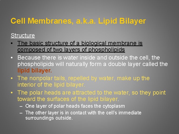Cell Membranes, a. k. a. Lipid Bilayer Structure • The basic structure of a