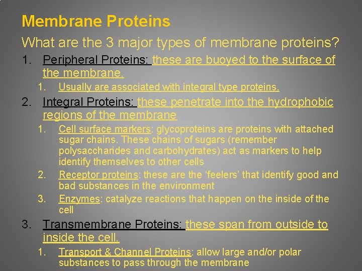 Membrane Proteins What are the 3 major types of membrane proteins? 1. Peripheral Proteins: