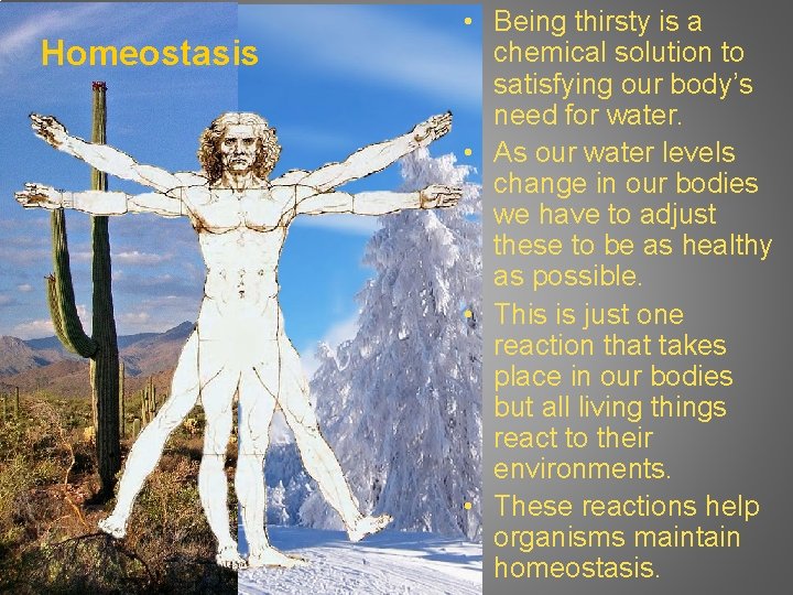 Homeostasis • Being thirsty is a chemical solution to satisfying our body’s need for