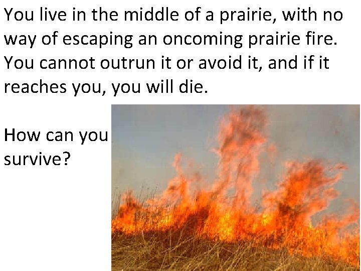 You live in the middle of a prairie, with no way of escaping an