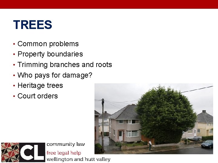 TREES • Common problems • Property boundaries • Trimming branches and roots • Who