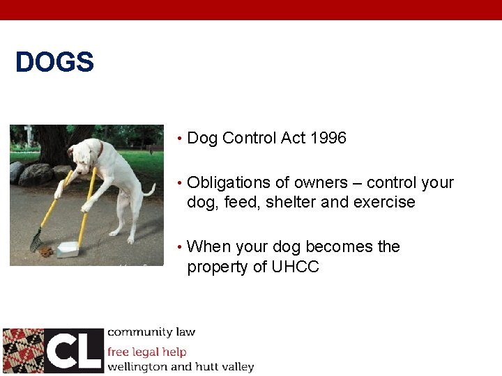 DOGS • Dog Control Act 1996 • Obligations of owners – control your dog,