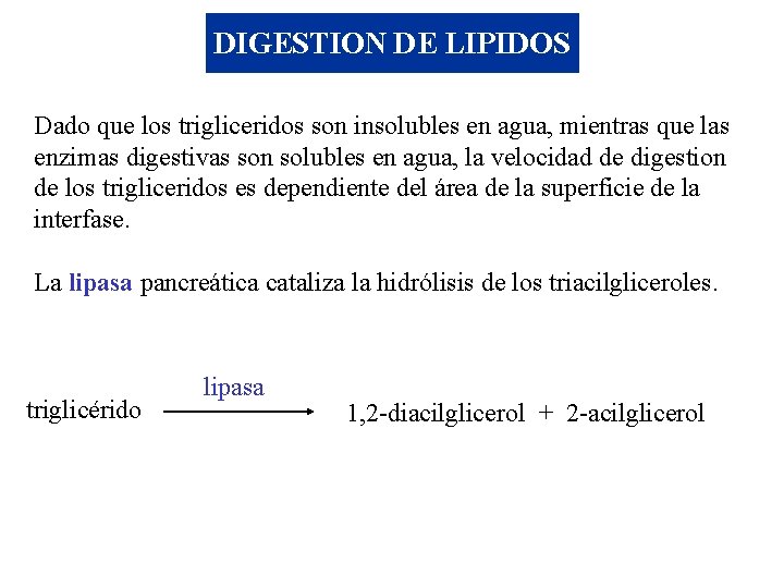 DIGESTION DE LIPIDOS Dado que los trigliceridos son insolubles en agua, mientras que las