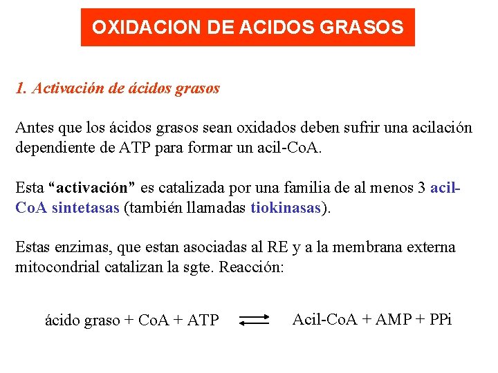 OXIDACION DE ACIDOS GRASOS 1. Activación de ácidos grasos Antes que los ácidos grasos