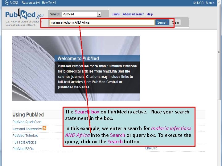 The Search box on Pub. Med is active. Place your search statement in the