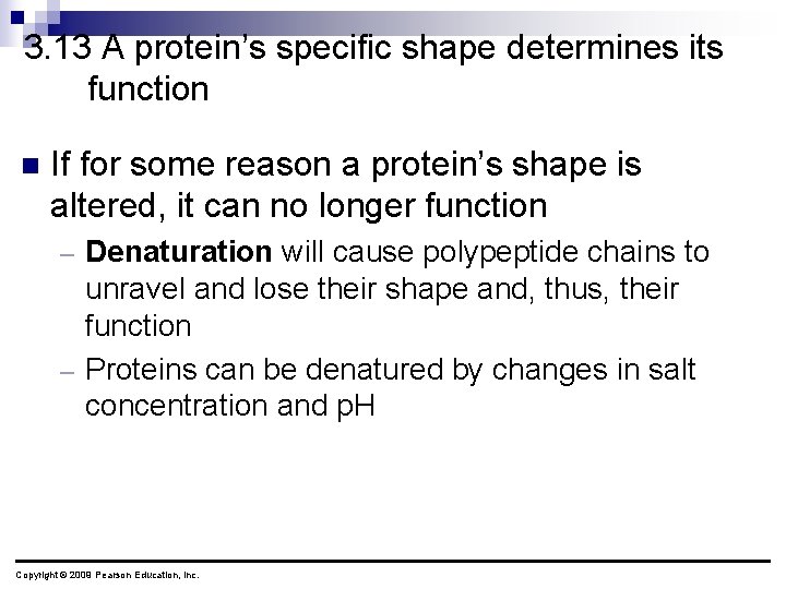 3. 13 A protein’s specific shape determines its function n If for some reason