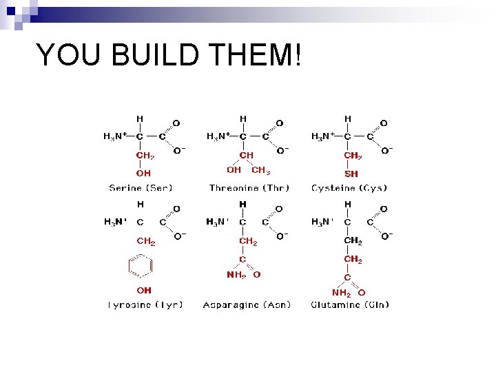 YOU BUILD THEM! 