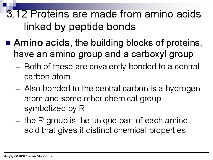 3. 12 Proteins are made from amino acids linked by peptide bonds n Amino