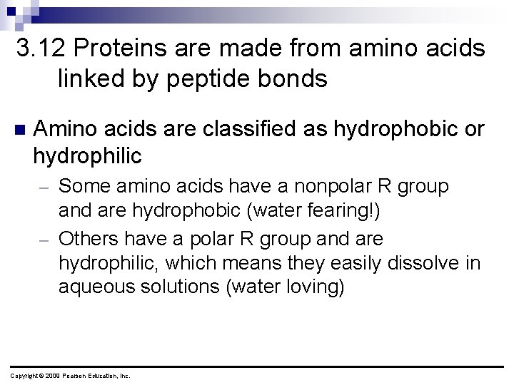 3. 12 Proteins are made from amino acids linked by peptide bonds n Amino