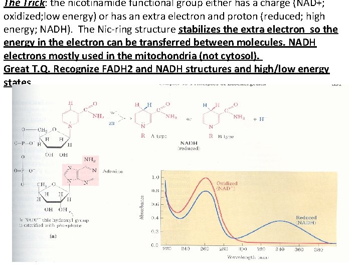 The Trick: the nicotinamide functional group either has a charge (NAD+; oxidized; low energy)