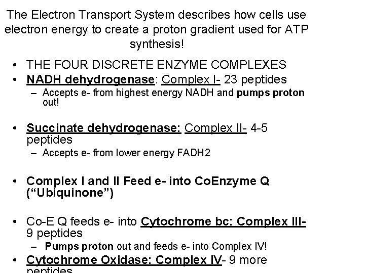 The Electron Transport System describes how cells use electron energy to create a proton