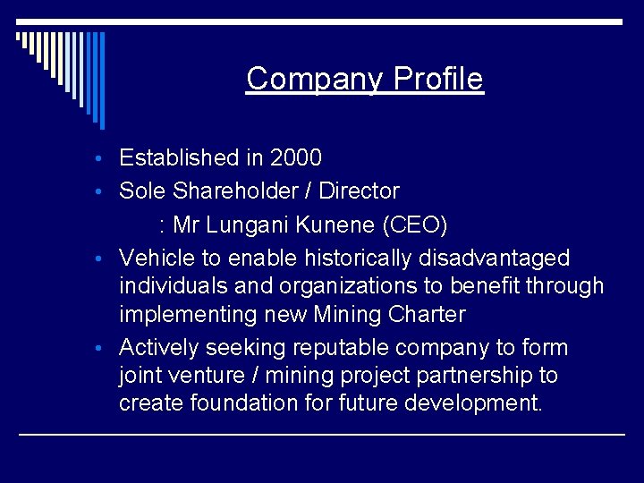 Company Profile • Established in 2000 • Sole Shareholder / Director : Mr Lungani