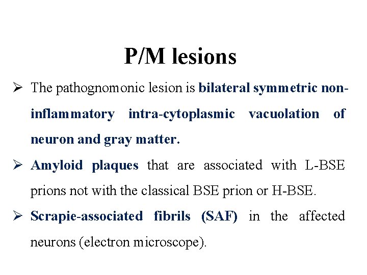 P/M lesions Ø The pathognomonic lesion is bilateral symmetric noninflammatory intra-cytoplasmic vacuolation of neuron