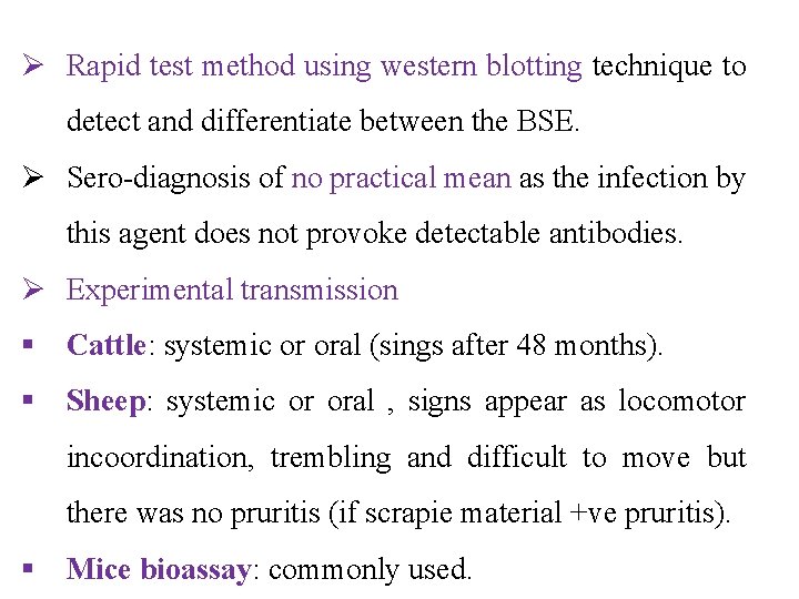 Ø Rapid test method using western blotting technique to detect and differentiate between the