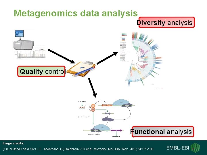 Metagenomics data analysis Diversity analysis Quality control Functional analysis Image credits: (1) Christina Toft