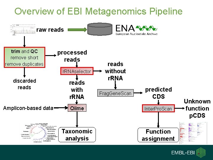 Overview of EBI Metagenomics Pipeline raw reads trim and QC remove short remove duplicates