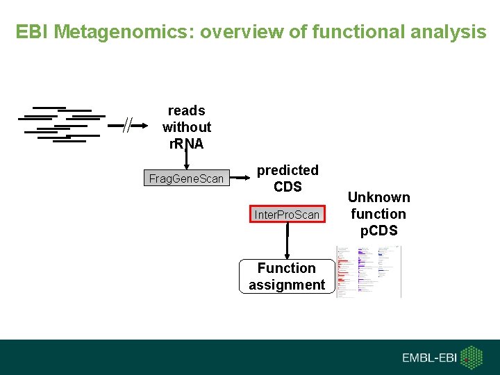 EBI Metagenomics: overview of functional analysis reads without r. RNA Frag. Gene. Scan predicted