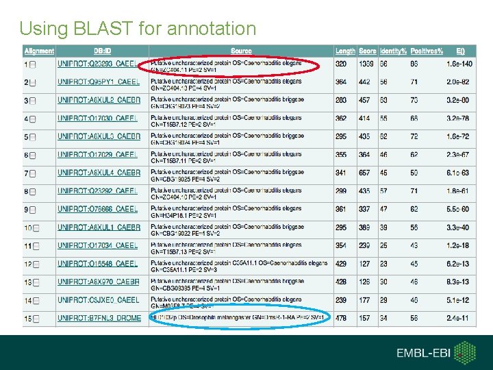  Using BLAST for annotation 