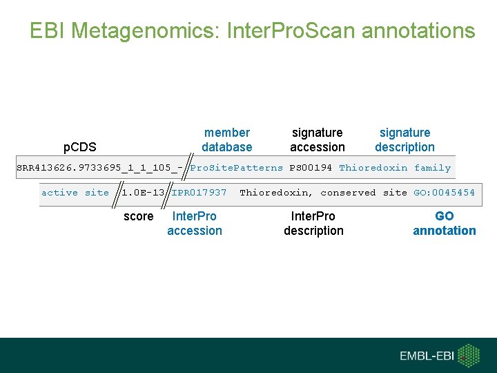 EBI Metagenomics: Inter. Pro. Scan annotations member database p. CDS signature accession signature description