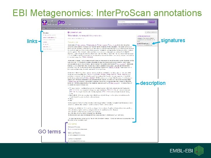 EBI Metagenomics: Inter. Pro. Scan annotations signatures links description GO terms 