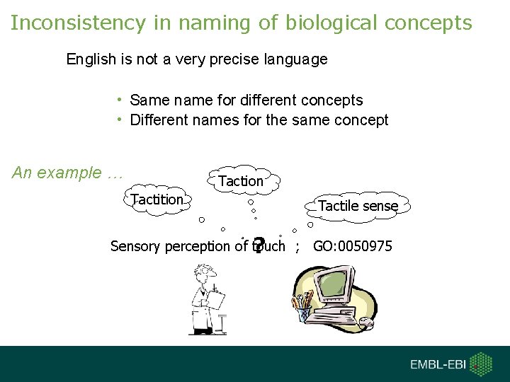 Inconsistency in naming of biological concepts English is not a very precise language •