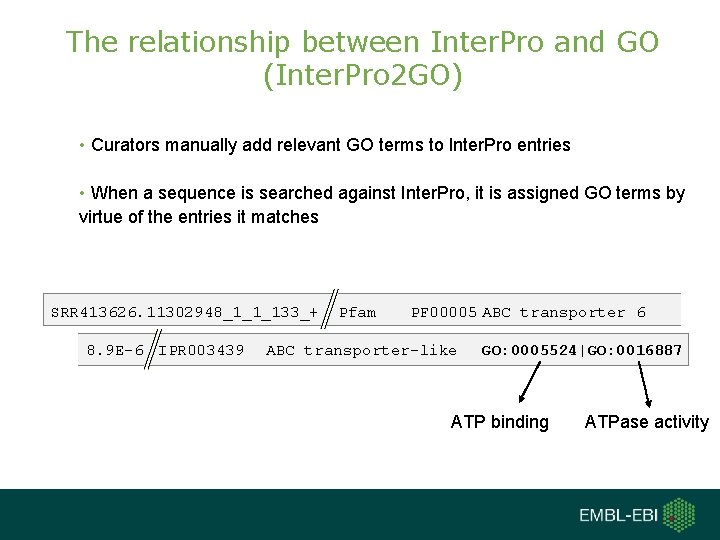 The relationship between Inter. Pro and GO (Inter. Pro 2 GO) • Curators manually