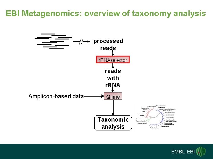 EBI Metagenomics: overview of taxonomy analysis processed reads r. RNAselector reads with r. RNA