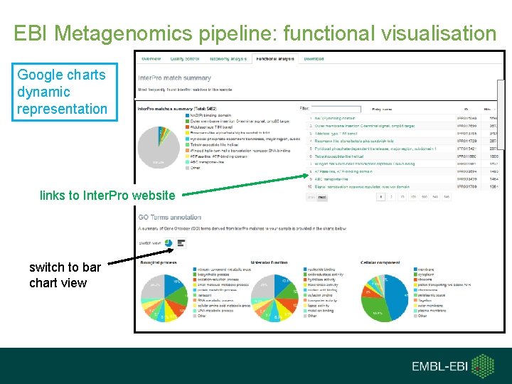 EBI Metagenomics pipeline: functional visualisation Google charts dynamic representation links to Inter. Pro website