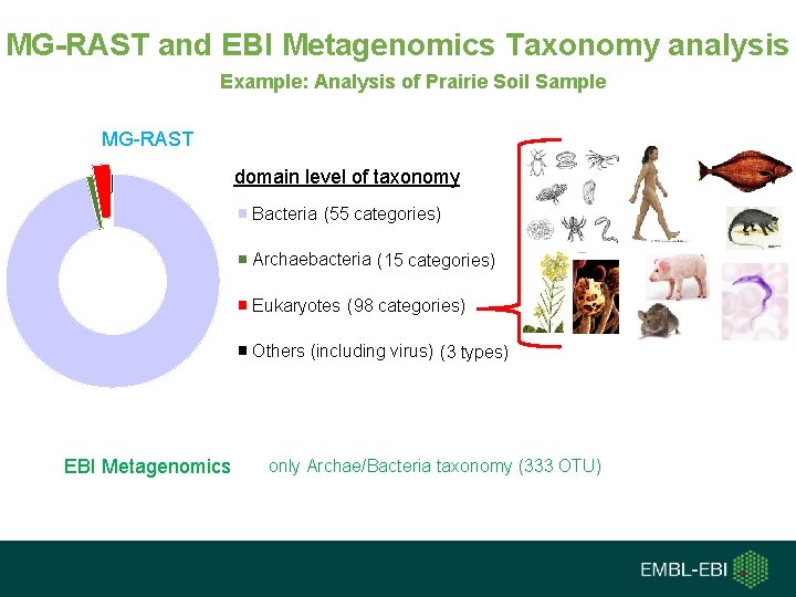 MG-RAST and EBI Metagenomics Taxonomy analysis Example: Analysis of Prairie Soil Sample MG-RAST domain