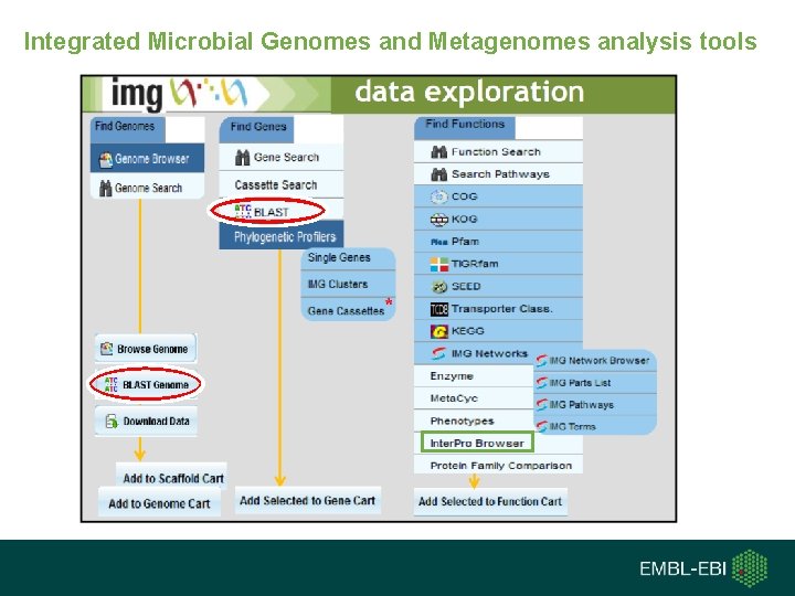 Integrated Microbial Genomes and Metagenomes analysis tools 