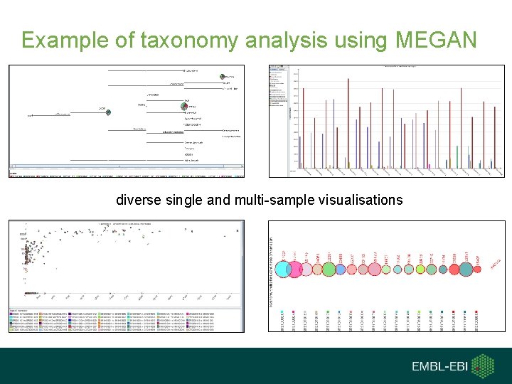 Example of taxonomy analysis using MEGAN diverse single and multi-sample visualisations 